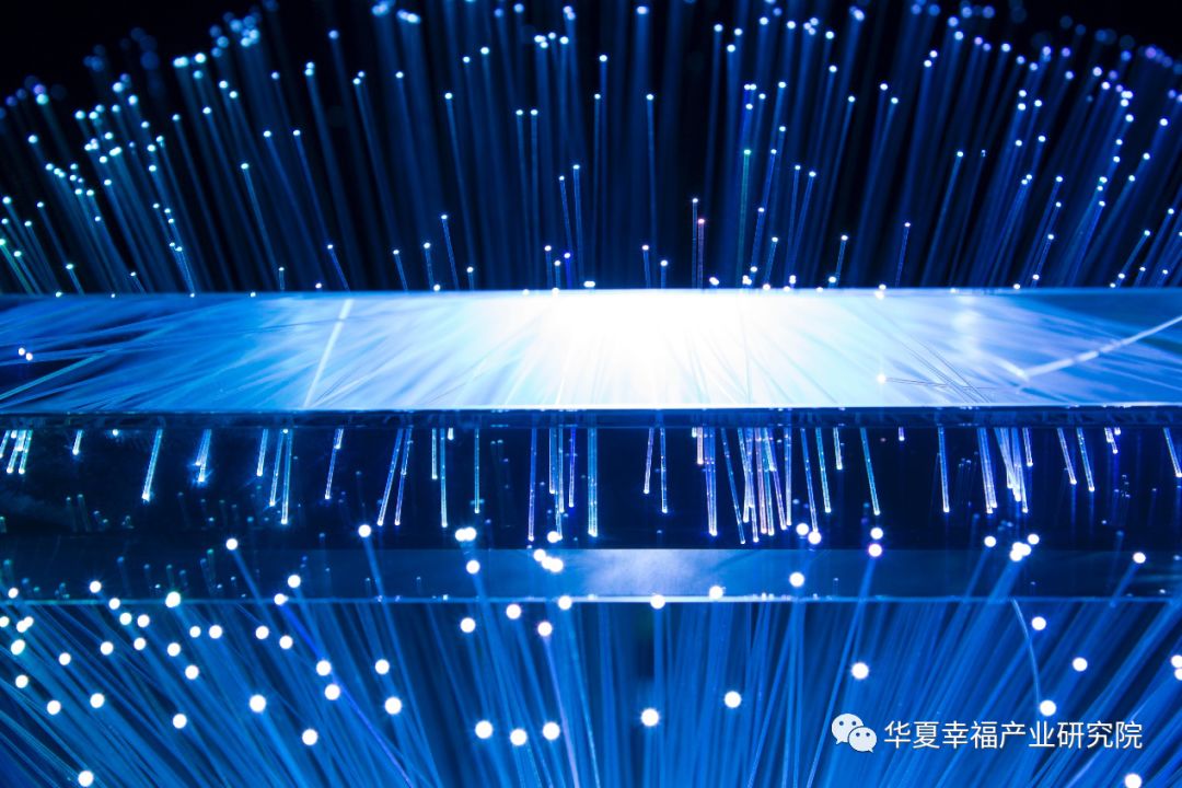 开云体育 开云官网纺织纤维什么是纺织纤维？的最新报道(图6)