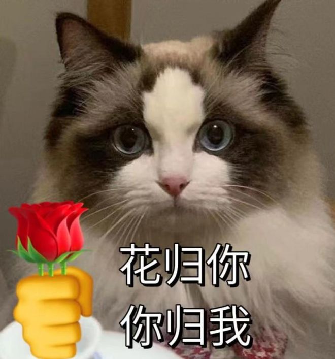开云 开云体育APP注意！西安城北、城西、城南、纺织城客运站这些班线恢复运营！(图8)