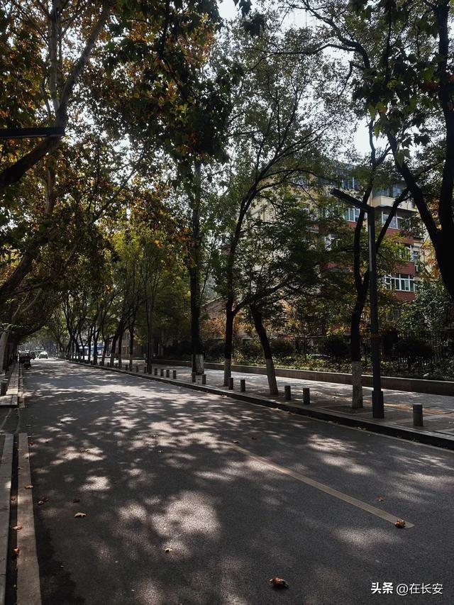 开云体育 开云平台你好纺织城(图8)