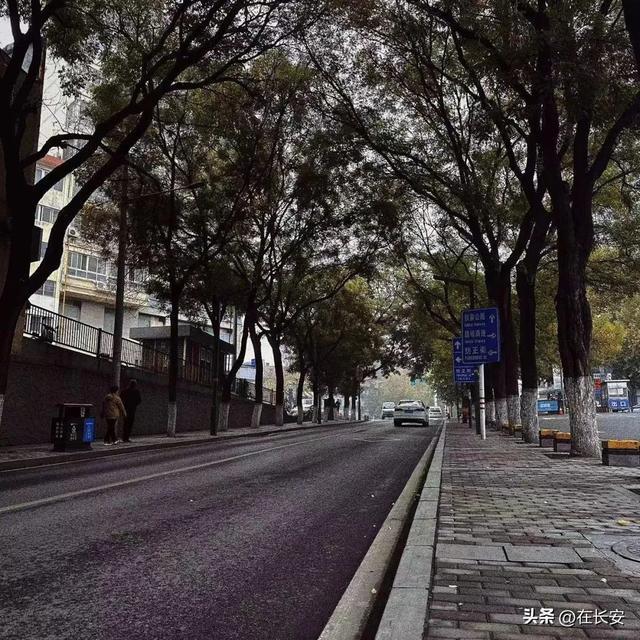 开云体育 开云平台你好纺织城(图13)