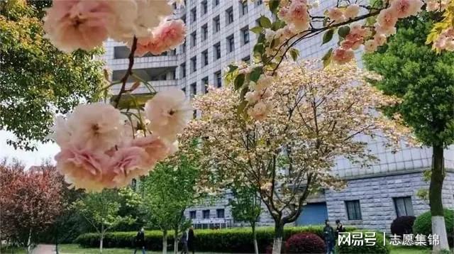 武汉纺织大学什么专业好？这一专业点燃梦想值得选择！开云 开云体育官网(图3)