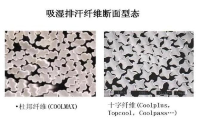 【纺织原料】3分钟带你了解吸湿排汗纺织品的基本原开云 开云体育官网理(图2)