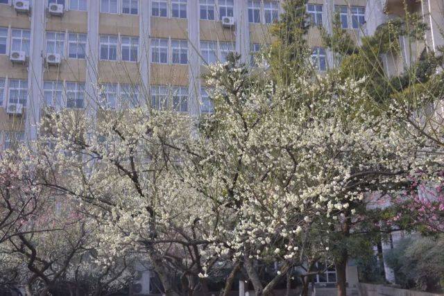 开云体育 开云平台武汉纺织大学是一本吗？各项实力出色答案显而易见！(图2)