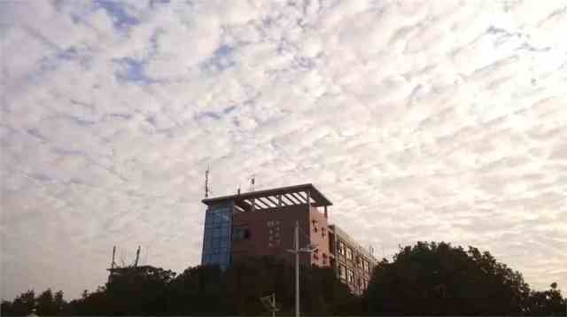 开云体育 开云平台武汉纺织大学是一本吗？各项实力出色答案显而易见！(图4)