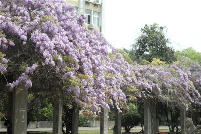 武汉开云体育 开云平台纺织大学是一本么？录取分数线见分晓！(图4)