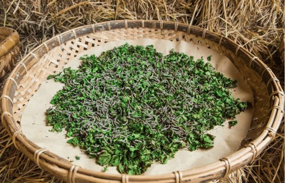 开云体育 开云官网明朝纺织业蓬勃发展是多方面原因促就的它对社会又有哪些影响(图2)
