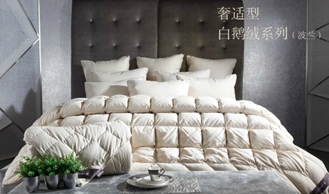 开云体育 开云平台秋冬寒意渐浓 寐MINE高端家纺市场拔头筹(图2)