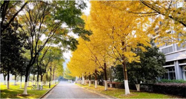 开云体育 Kaiyun.com 官网入口江南大学专业强不强？选择这个专业织造未来！(图1)