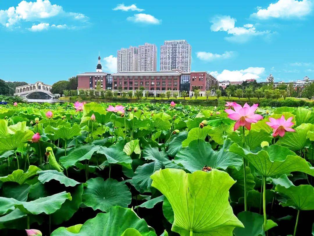 成都纺织高等专科学校：成纺舞台带你将斑驳梦想的光绘出闪耀的图案Kaiyun 开云体育(图2)