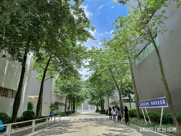 开云 开云体育平台进厂打工什么厂的套路最多？(图1)