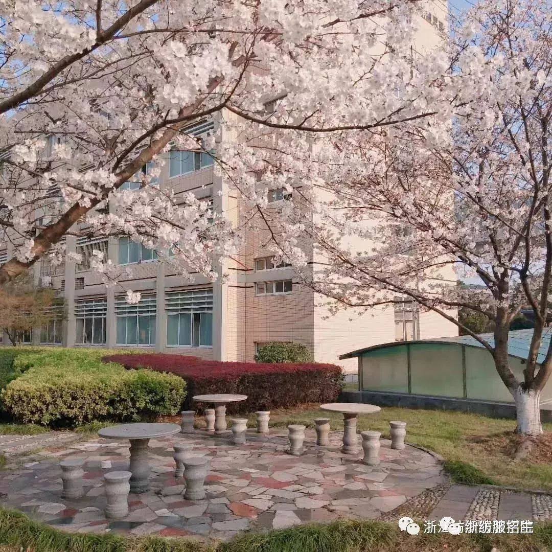 权威发布！浙纺服职院2019年Kaiyun 开云体育面向社会人员扩招招生简章(图5)